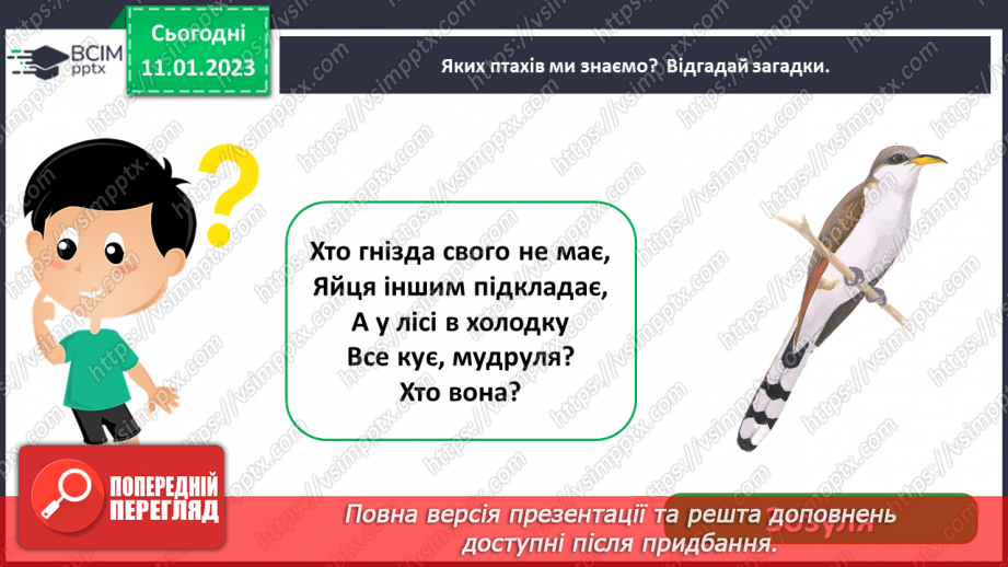 №0057 - Птахи7