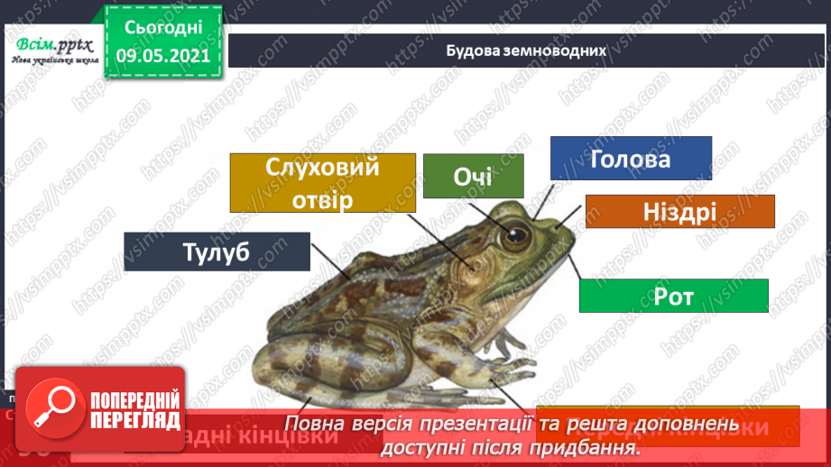 №064 - Чому земноводні мають таку назву?16 №064 - Чому земноводні мають таку назву?16