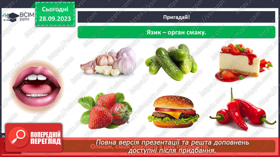 №017 - Органи чуття. Узагальнення6
