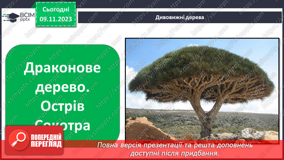 №034 - Рослини. Світ природи розмаїтий…11 №034 - Рослини. Світ природи розмаїтий…11