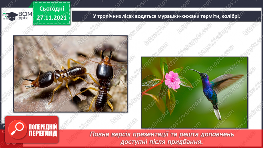 №042 - Материки Землі. Особливості природи материків32 №042 - Материки Землі. Особливості природи материків32