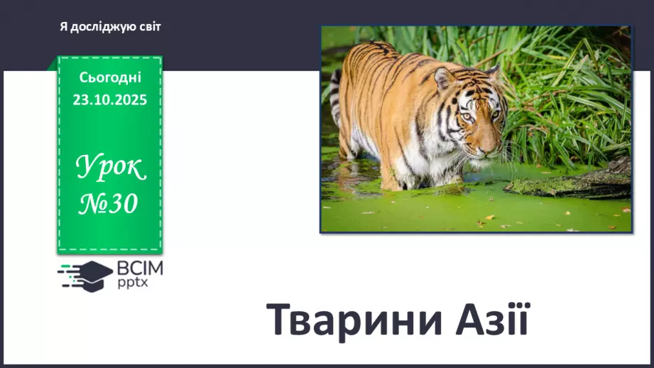 №030 - Тварини Азії0 №030 - Тварини Азії0