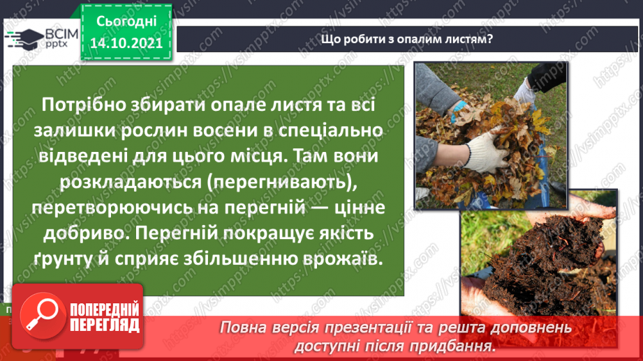 №025 - Як безпека перетворюється на небезпеку? Дослідження «Які водоспади є на Закарпатті?».24 №025 - Як безпека перетворюється на небезпеку? Дослідження «Які водоспади є на Закарпатті?».24