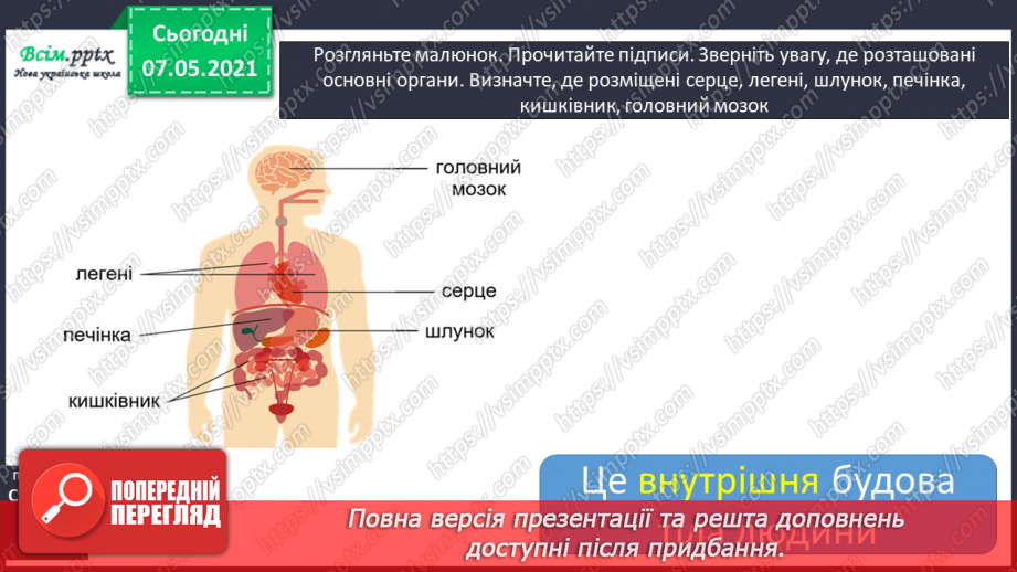 №049 - Яку будову має наше тіло15 №049 - Яку будову має наше тіло15