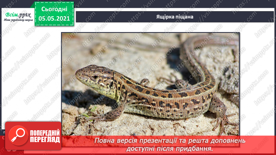 №044 - Різноманітність тварин у природі. Плазуни11 №044 - Різноманітність тварин у природі. Плазуни11