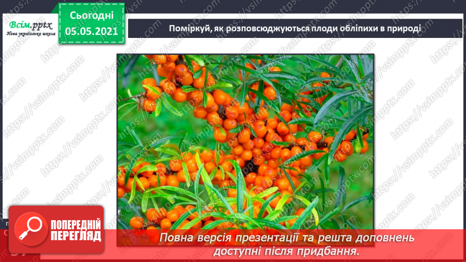 №033 - Розмноження квіткових рослин19