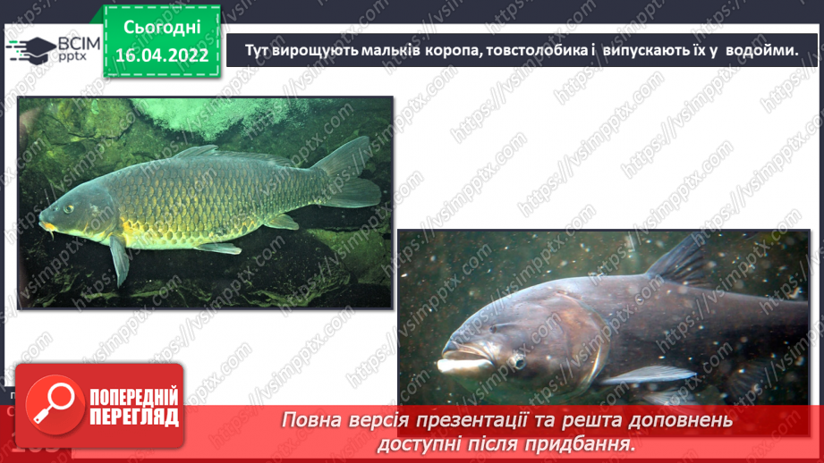 №090 - Тваринництво в рідному краї20 №090 - Тваринництво в рідному краї20