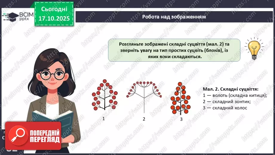 №025 - Покритонасінні рослини: пристосування до життя на суходолі, суцвіття, запилення й запліднення.11 №025 - Покритонасінні рослини: пристосування до життя на суходолі, суцвіття, запилення й запліднення.11