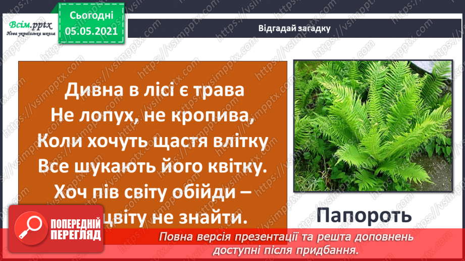 №034 - Папороті.7 №034 - Папороті.7