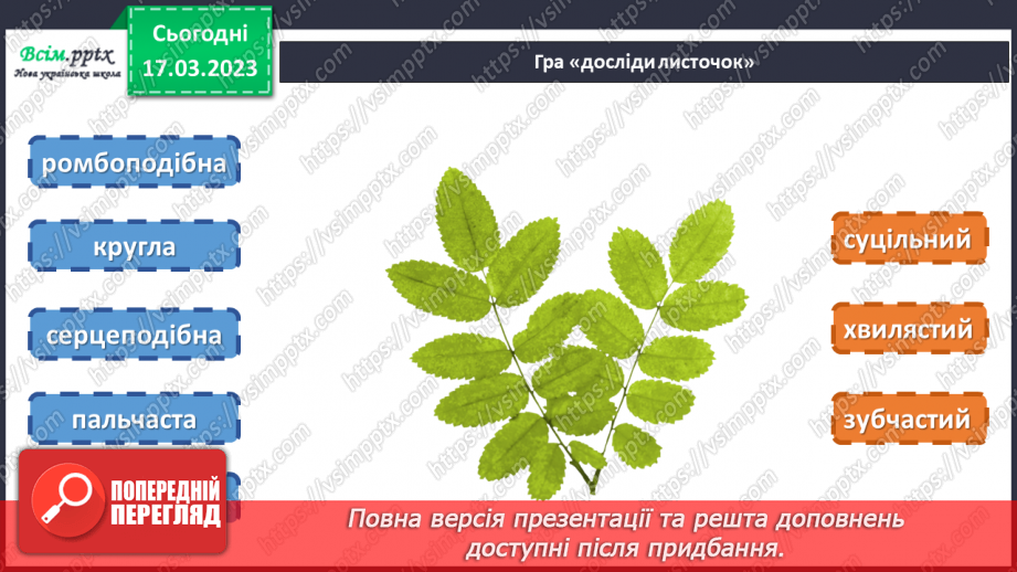 №28 - Живі листки на папері. Створення весняної листівки на тему «Бережімо природу»9 №28 - Живі листки на папері. Створення весняної листівки на тему «Бережімо природу»9