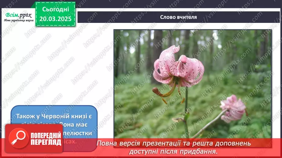 №28 - Квіткові фантазії10 №28 - Квіткові фантазії10