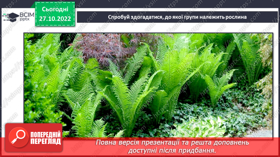 №031 - Класифікація рослин.12 №031 - Класифікація рослин.12