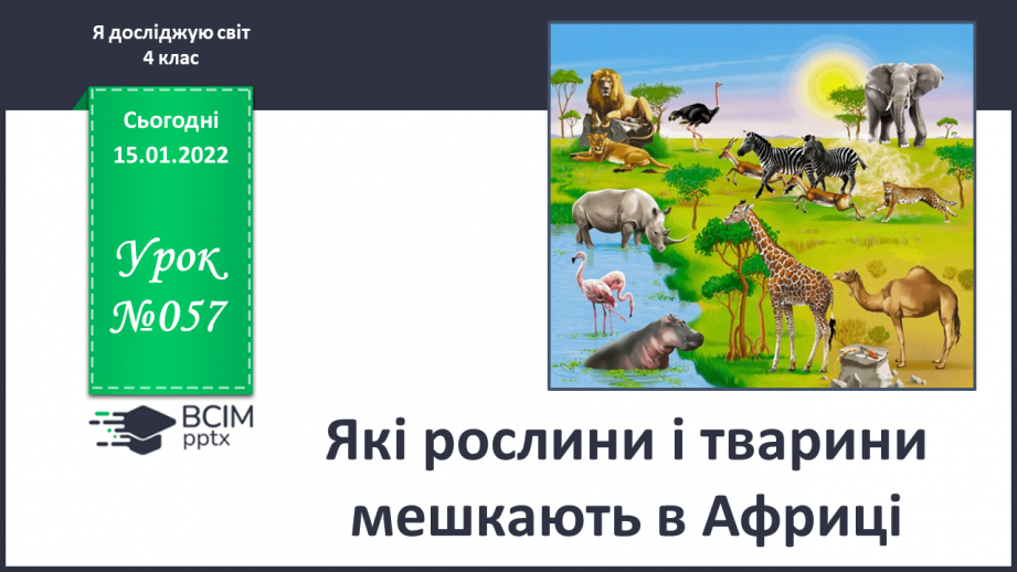 №057 - Які рослини і тварини мешкають в Африці0 №057 - Які рослини і тварини мешкають в Африці0