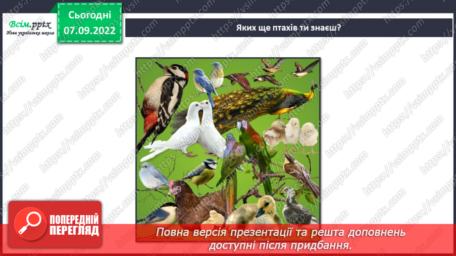 №004 -  Як відтворити пташку в небі? Ство¬рення картини з пластиліну6