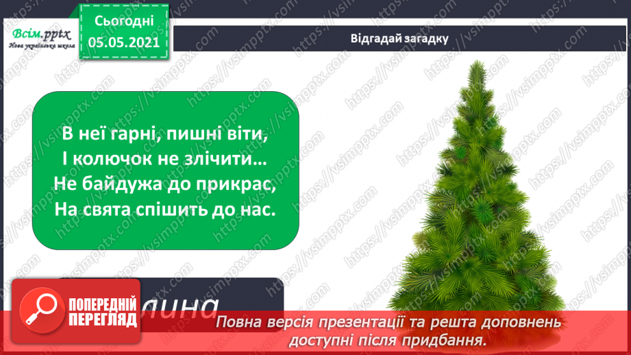 №035 - Хвойні рослини.4 №035 - Хвойні рослини.4