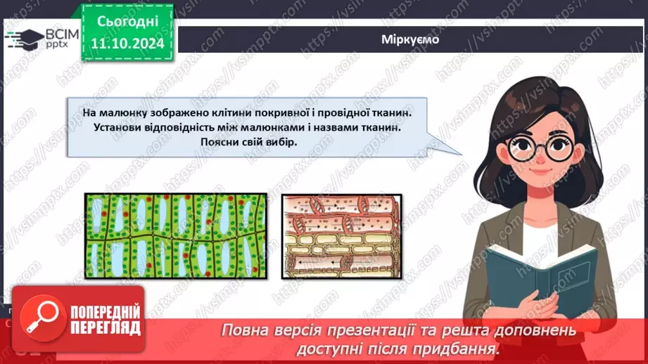 №23 - Тканини і органи рослин.24 №23 - Тканини і органи рослин.24