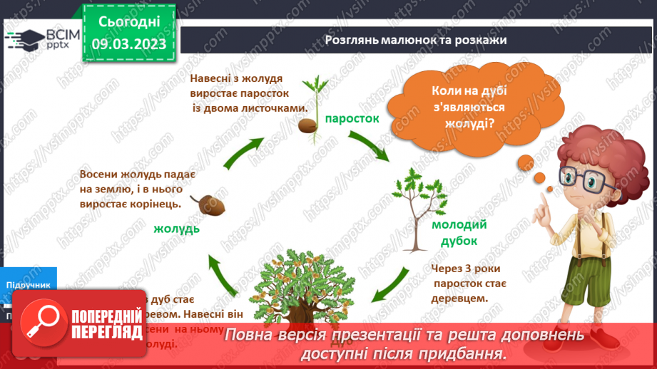 №080 - Як ростуть рослини. Будова рослин.8
