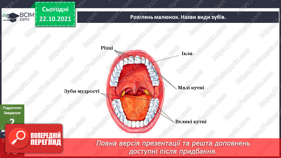 №028 - Чому в нас часом болять зуби? Готуємо проект. Людина, яка мене надихає.13