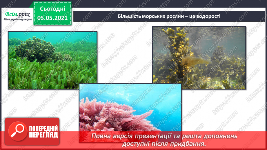 №055-56 - Узагальнення і систематизація знань учнів. Діагностична робота. Аналіз діагностичної роботи.37 №055-56 - Узагальнення і систематизація знань учнів. Діагностична робота. Аналіз діагностичної роботи.37