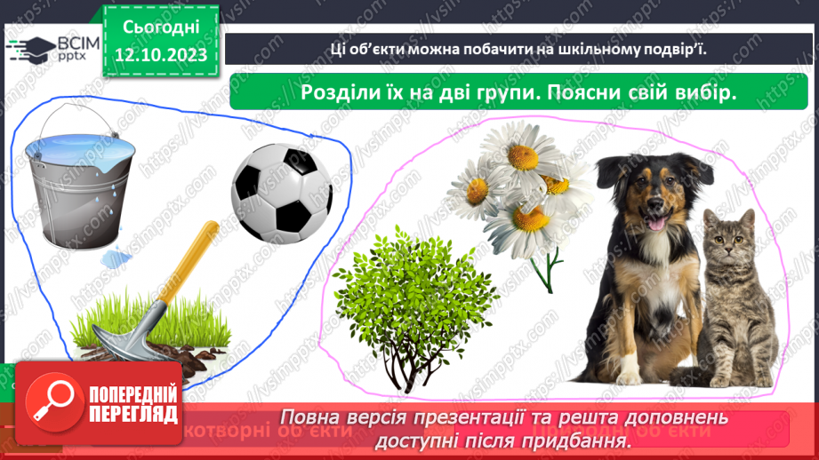 №024 - Що є на шкільному подвір’ї23