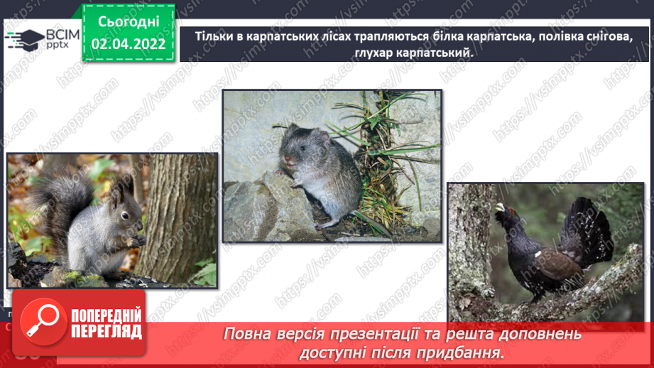 №082 - Українські Карпати22 №082 - Українські Карпати22