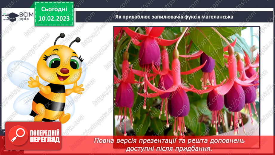 №45 - Пристосування до життя та різноманітність рослин. Секрети насінини.9