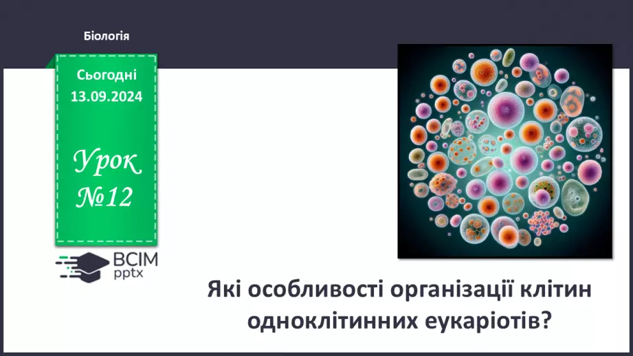 №12 - Які особливості оргнанізації клітин одноклітинних евкаріотів?0