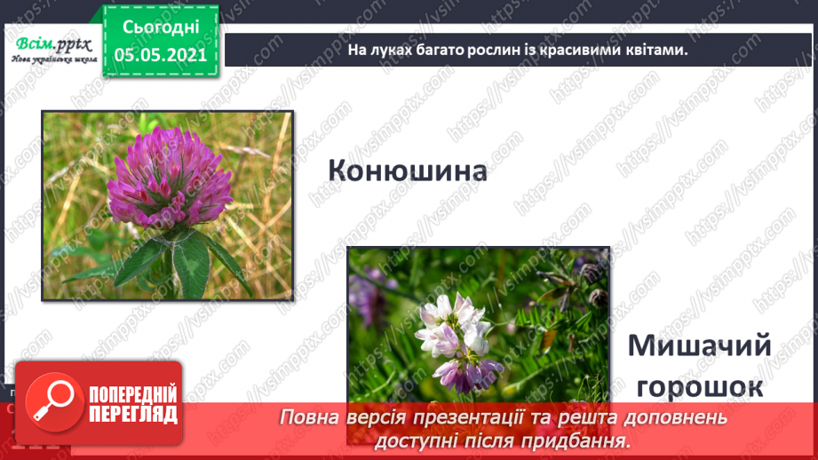 №095 - Ясніє в кожній квітці дивина.9 №095 - Ясніє в кожній квітці дивина.9
