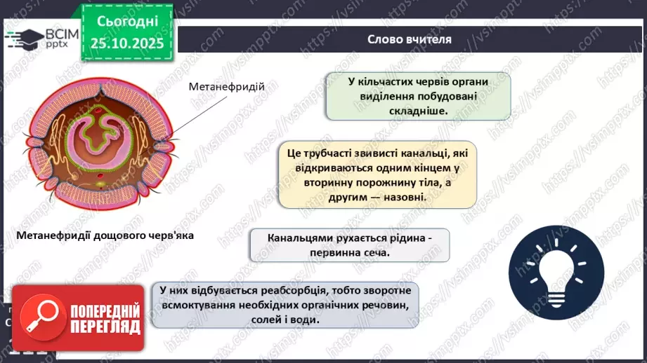 №028 - Виділення як властивість живого. Еволюція видільної системи тварин.12 №028 - Виділення як властивість живого. Еволюція видільної системи тварин.12