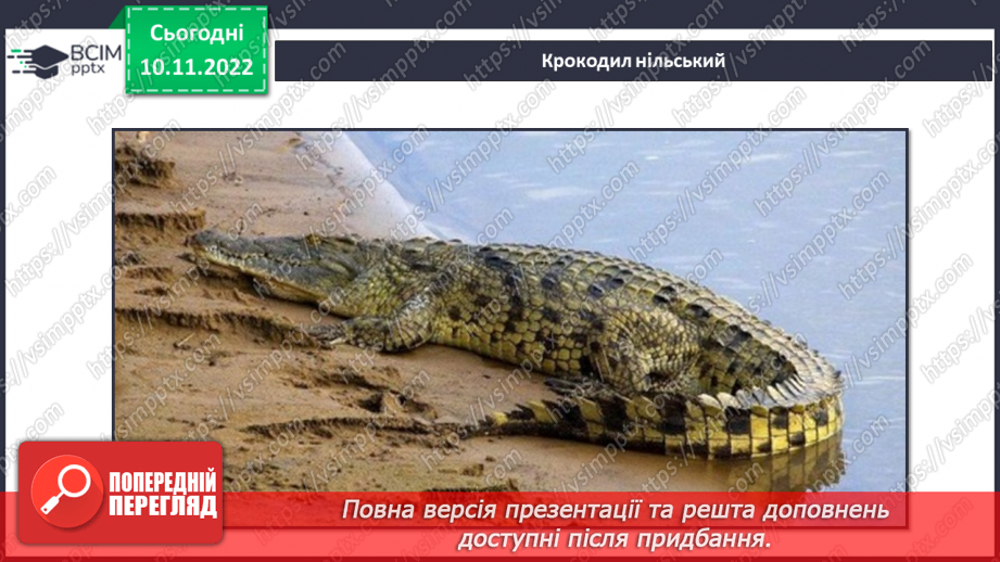 №038 - Риби, земноводні та плазуни.26 №038 - Риби, земноводні та плазуни.26