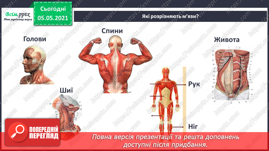 №063 - Узагальнення і систематизація знань учнів. Діагностична робота. Тема: « Дбаю про своє здоров’я. Шкіра. Скелет. М’язи.»30