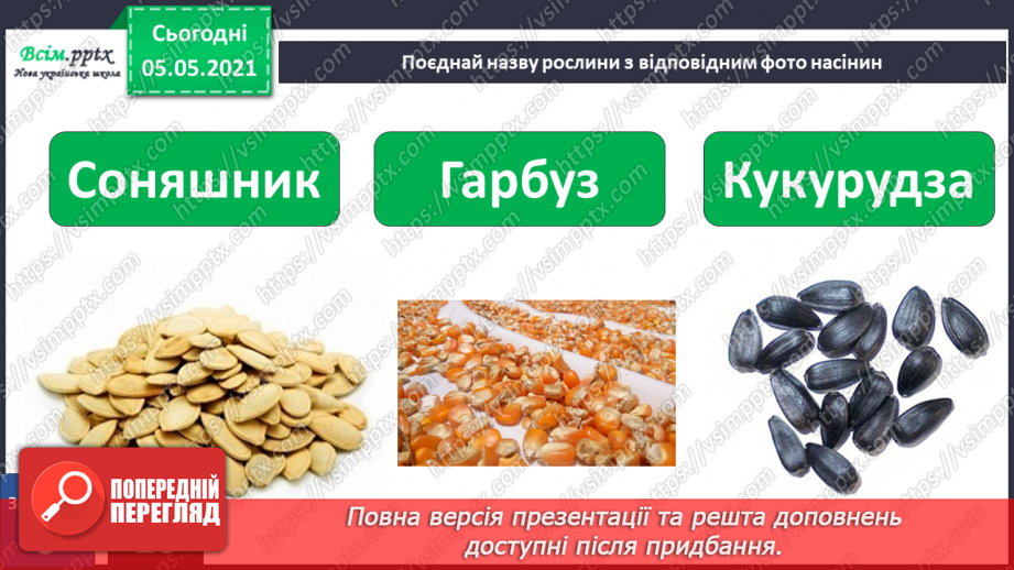 №036 - Квіткові рослини.28