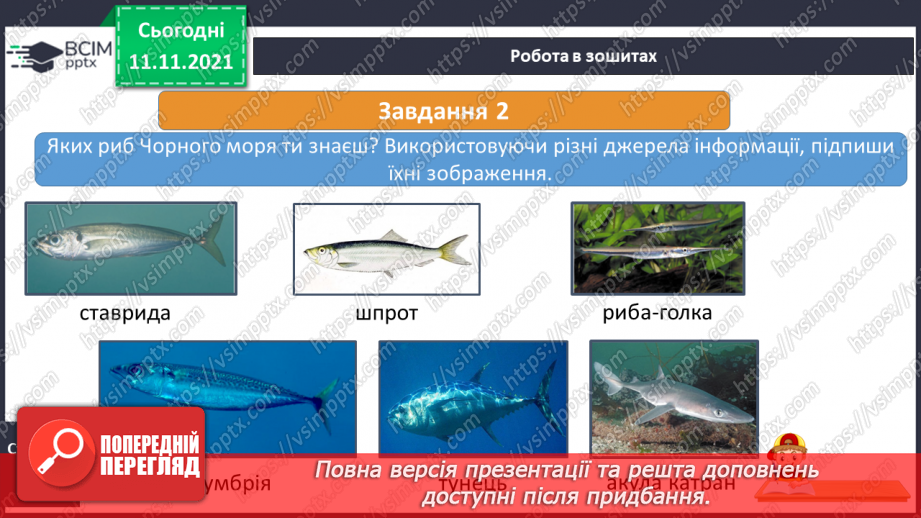 №034 - Які скарби приховує Чорне море17 №034 - Які скарби приховує Чорне море17