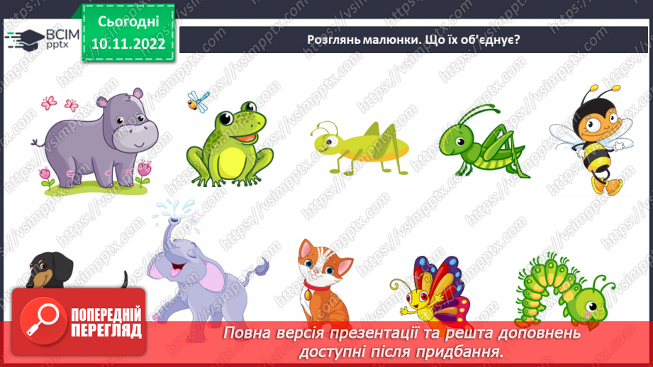 №037 - Як класифікують тварин. Властивості ссавців і птахів.3 №037 - Як класифікують тварин. Властивості ссавців і птахів.3