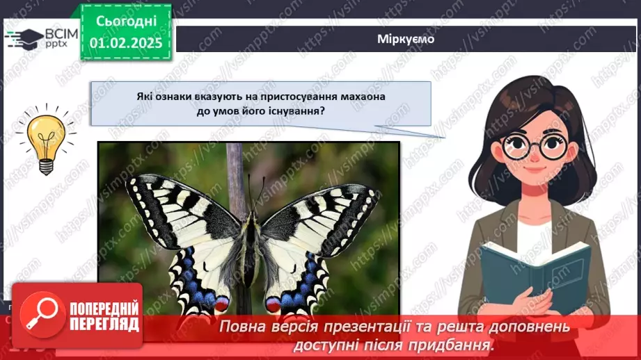 №57 - Комахи (продовження).13 №57 - Комахи (продовження).13