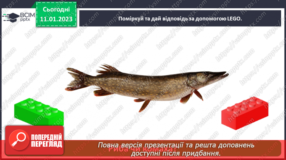 №0056 - Риби24 №0056 - Риби24