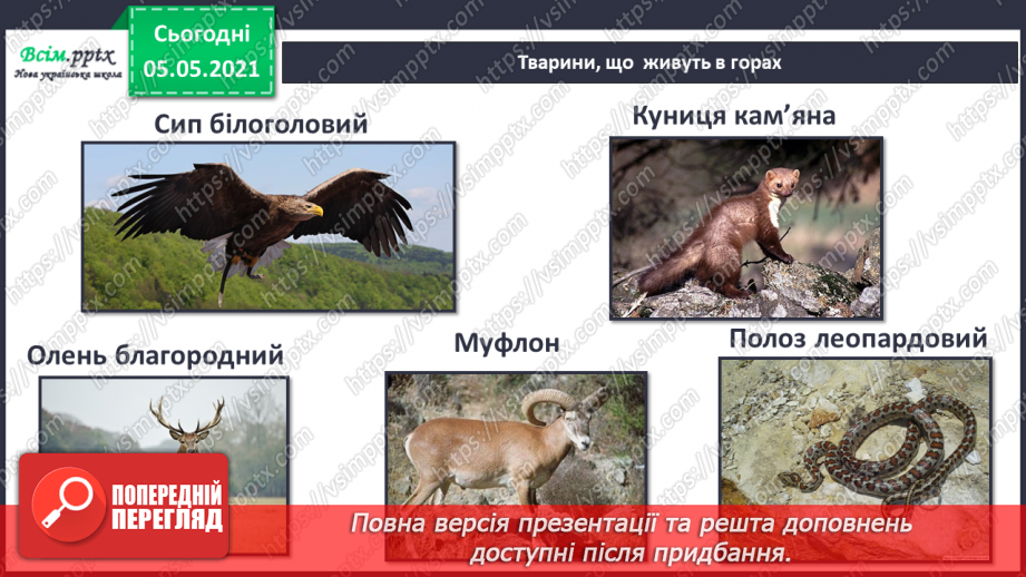 №039 - Звірі.6 №039 - Звірі.6