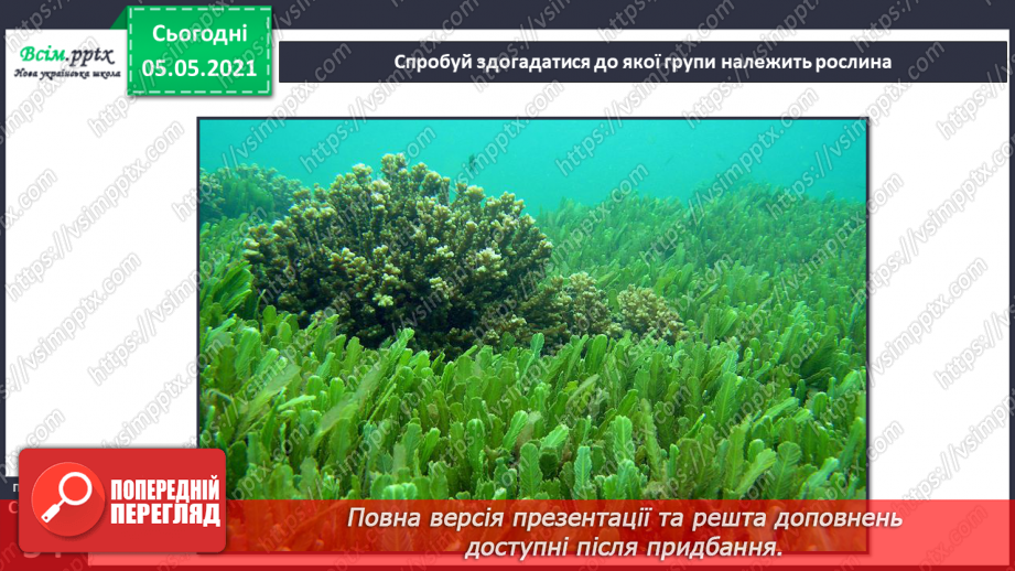 №031 - Організми, які тебе оточують.23