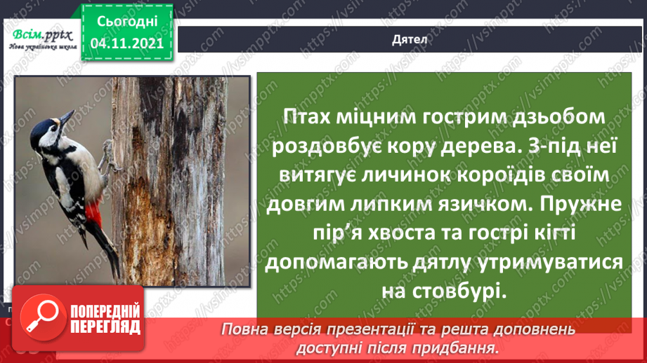№040 - Як тварини пристосувалися добувати корм13 №040 - Як тварини пристосувалися добувати корм13