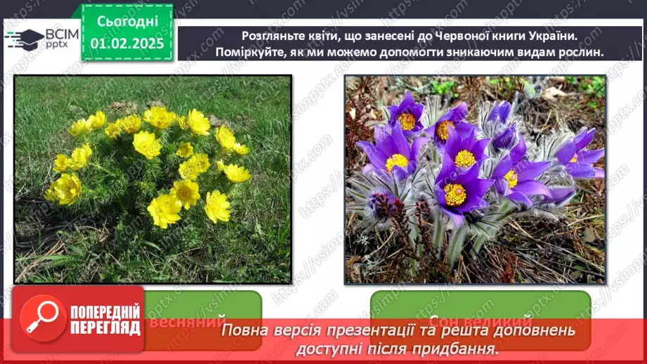 №021 - Світ рослин у мистецтві5 №021 - Світ рослин у мистецтві5