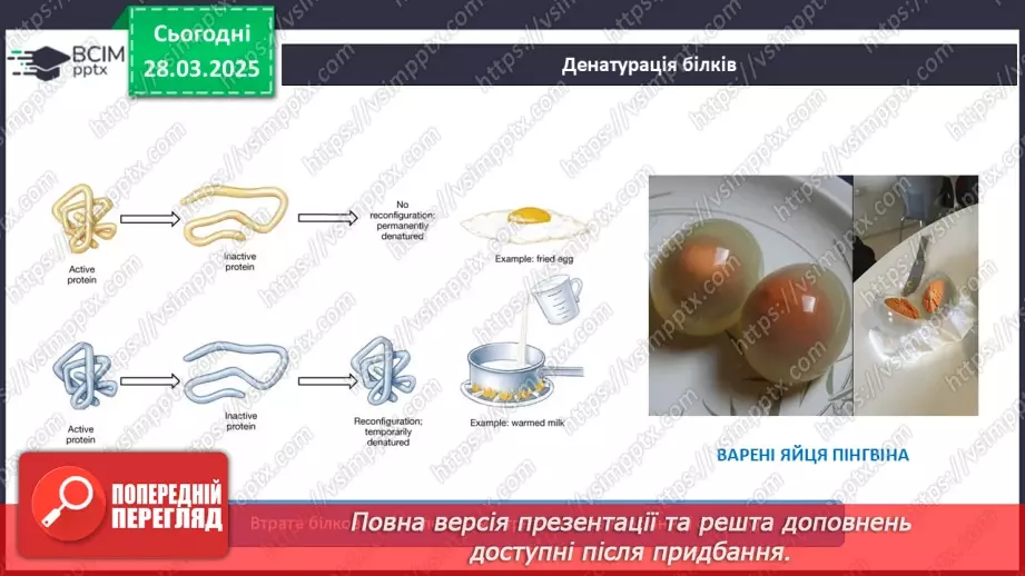 №29-30 - Білки.15 №29-30 - Білки.15
