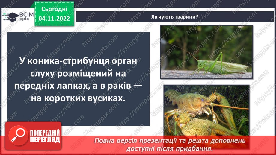 №23 - Чим важливі звукові явища у природі та житті людини. Виникнення звуку та його поширення на відстані.12 №23 - Чим важливі звукові явища у природі та житті людини. Виникнення звуку та його поширення на відстані.12