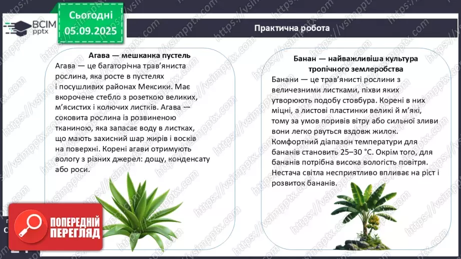 №007-8 - Екологічні фактори. Адаптації. Популяція та її характеристики.21 №007-8 - Екологічні фактори. Адаптації. Популяція та її характеристики.21