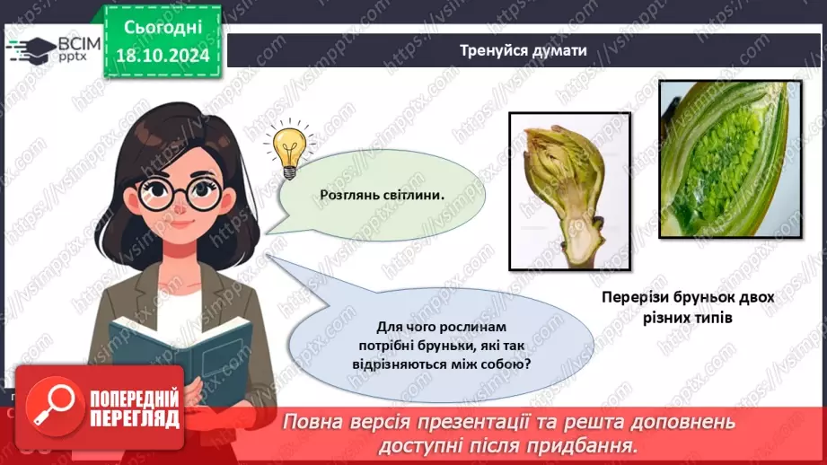 №25 - Вегетативні органи вищих рослин.5 №25 - Вегетативні органи вищих рослин.5