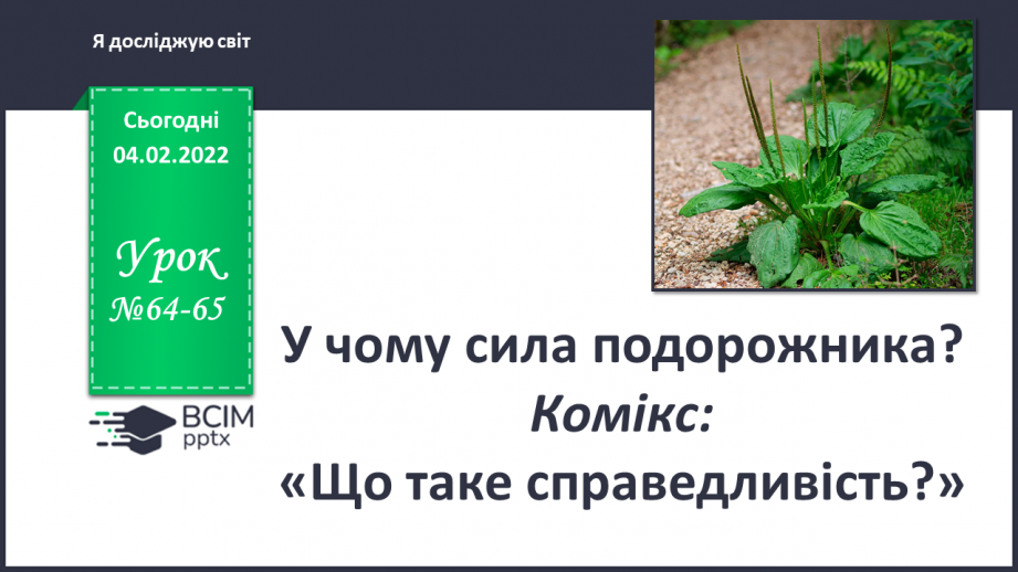 №064-65 - У чому сила подорожника? Комікс: «Що таке справедливість?»0