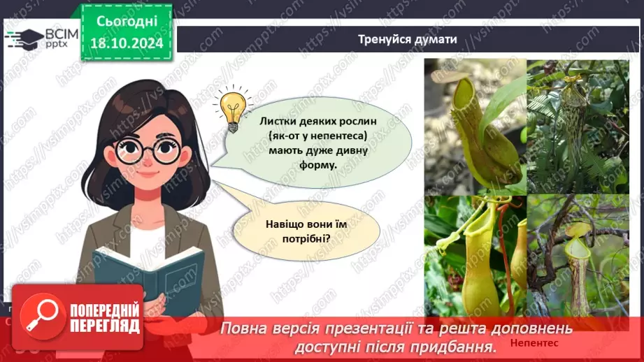 №26 - Видозміни вегетативних органів рослин.5 №26 - Видозміни вегетативних органів рослин.5