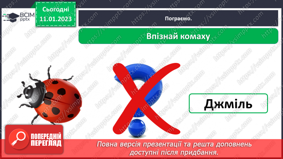 №0055 - Комахи21 №0055 - Комахи21