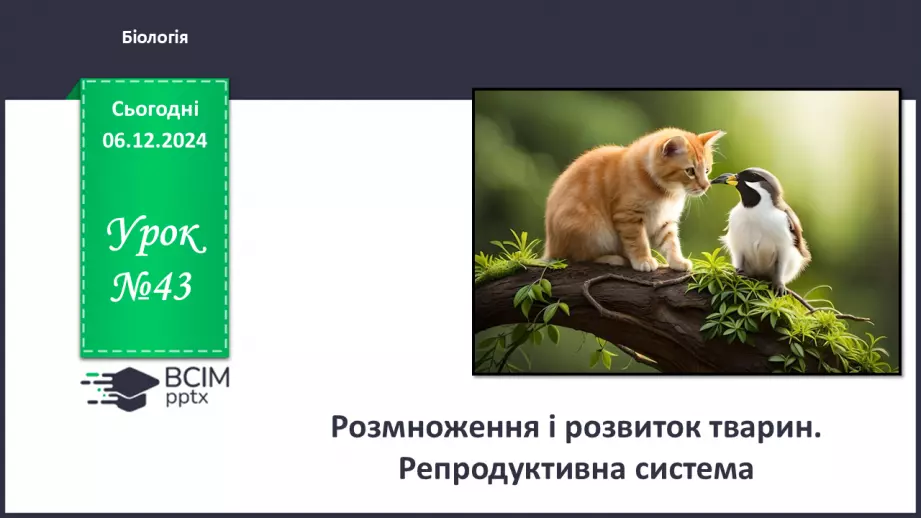 №43 - Розмноження і розвиток тварин. Репродуктивна система.0