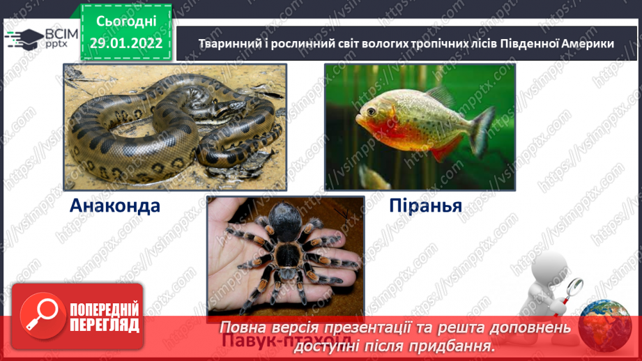 №061 - Рослинний і тваринний світ Південної Америки10 №061 - Рослинний і тваринний світ Південної Америки10