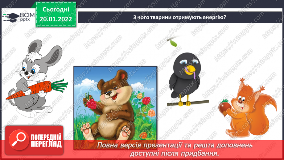 №058 - Які невидимі зв’язки є у природі? Комікс: «Чому говорять, що правда вийде нагору, як олія з води?»8